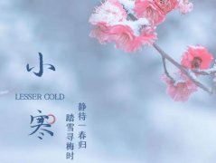 小寒养生食谱,小寒养生吃什么?