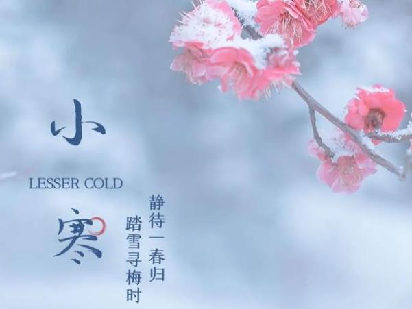 С������ʳ�ף�С��������ʲô��