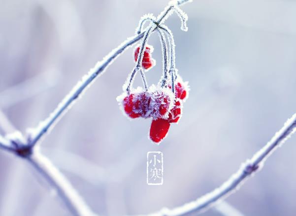 С��ϰ�ף������С��ʱ������Щϰ�ף�