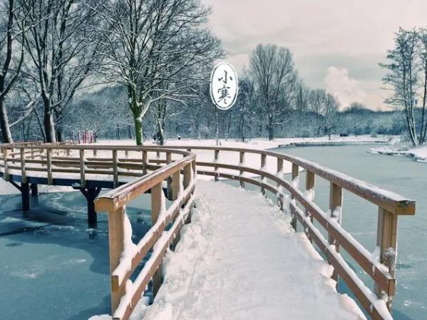 С�������������