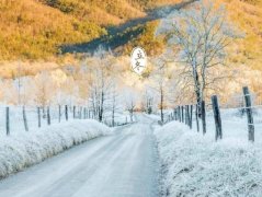 立冬是什么时候?立冬是几月几日