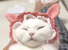 苏珊米勒2023年6月巨蟹座运势