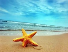 苏珊米勒2023年6月狮子座运势