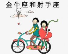 ��ţ��������������