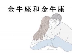 ��ţ���ͽ�ţ������