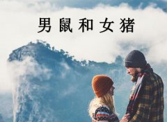 �����Ů������