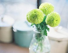 苏珊米勒2023年7月水瓶座运势