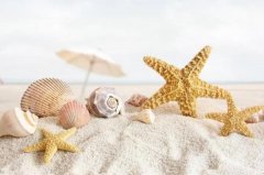 ����2023��7��23�յ�29��һ������