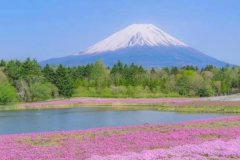 苏珊米勒2023年8月射手座运势