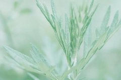 ����2023��8��6�յ�12��һ������