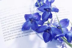 ����2023��8��13�յ�19��һ������