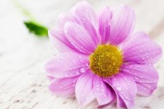 ����2023��8��20�յ�26��һ������