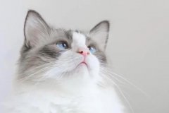 ����2023��8��27�յ�9��2��һ������