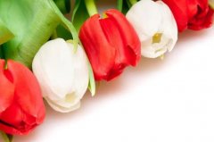 苏珊米勒2023年9月射手座运势