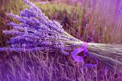 ����2023��10��8�յ�14��һ������