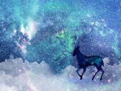 苏珊米勒2023年10月处女座运势