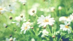 2024年三煞和太岁在哪个方位_龙年怎么破三煞