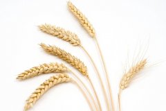 ����2023��10��23�յ�29��һ������