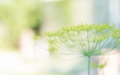 ����2023��11��13�յ�19��һ������