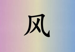 姓风男孩起名五行属金两个字名字_姓风男孩属金100分两个字名字