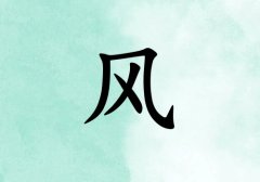 姓风男孩起名五行属木两个字名字_姓风男孩属木100分两个字名字