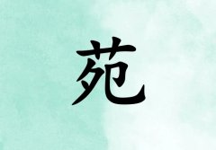姓苑男孩起名五行属木两个字名字_姓苑男孩属木100分两个字名字