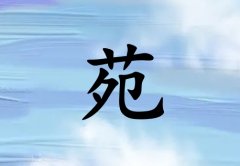 姓苑男孩起名五行属水两个字名字_姓苑男孩属水100分两个字名字