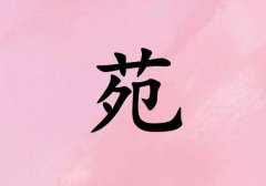 姓苑男孩起名五行属火两个字名字_姓苑男孩属火100分两个字名字