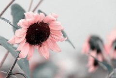 ����2023��11��19�յ�25��һ������