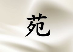 ��ԷŮ������������ˮ����������_��ԷŮ����ˮ100������������