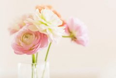 ����2023��11��27�յ�12��3��һ������