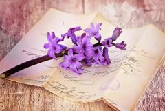 苏珊米勒2023年12月双鱼座运势