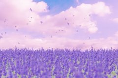 ��ɺ����2023��12��ˮƿ������