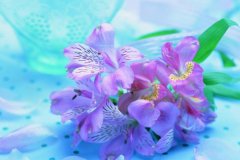 ��ɺ����2023��12�°���������