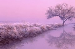 星座2023年12月4日到10日一周运势