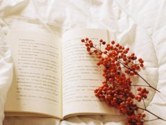 ��ɺ����2024��1�°���������