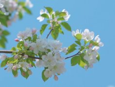 ��ɺ����2024��1��ʨ��������