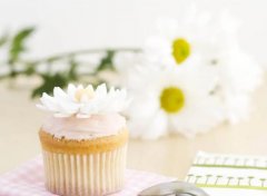 ��ɺ����2024��1��˫��������