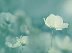 ��ɺ����2024��1�����������