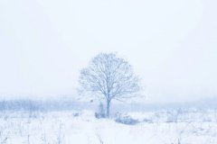 星座2024年1月14日到20日一周运势