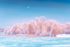 星座2024年1月22日到28日一周运势