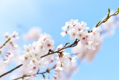 ��ɺ����2024��2������������