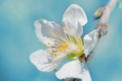 ��ɺ����2024��2�½�ţ������