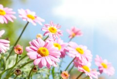 ��ɺ����2024��2�´�Ů������