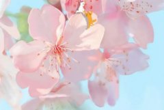 ��ɺ����2024��2�����������