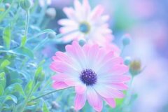 ��ɺ����2024��2����Ы������