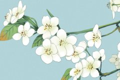 ��ɺ����2024��2��ˮƿ������