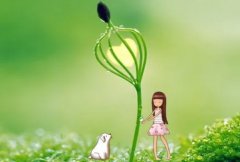 ��ɺ����2024��3������������