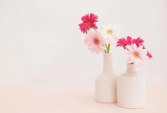 ��ɺ����2024��3��˫��������