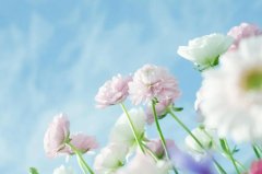 ��ɺ����2024��3��ˮƿ������